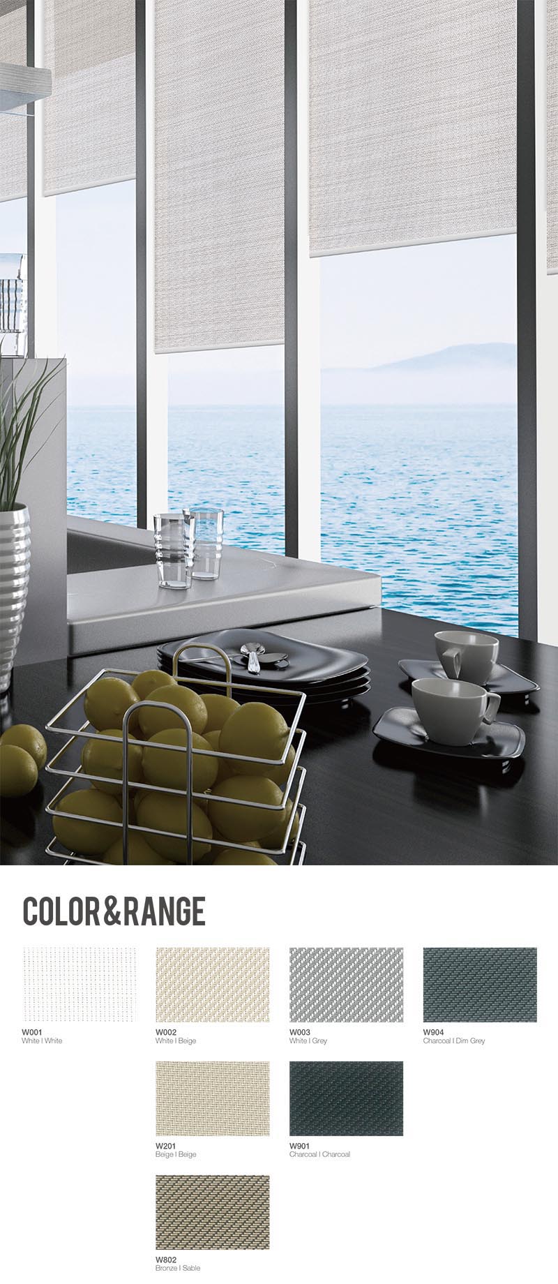 ss009-1.jpg